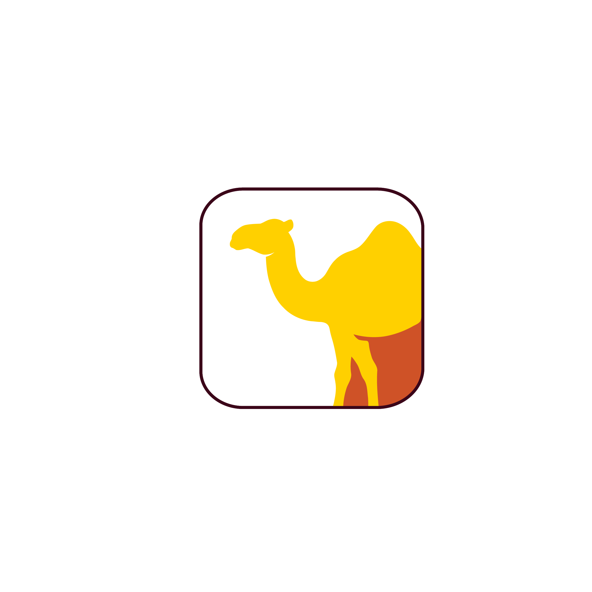 Camel