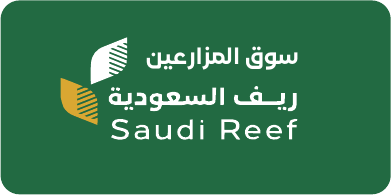 Saudi Reef
